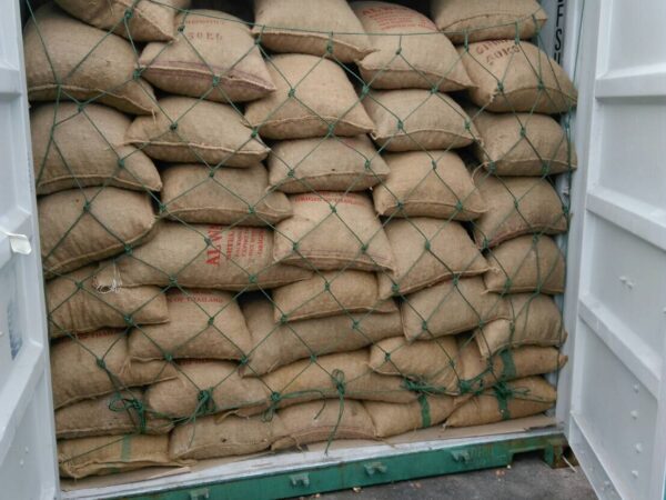 We are the exporter of betel nut or Areca Catechu nut from Thailand