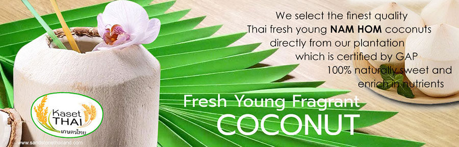fresh young fragrant Coconut, MAPROW NAM-HOM