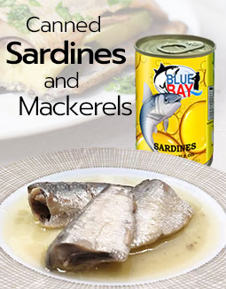 Our Canned Sardines and Mackerels
